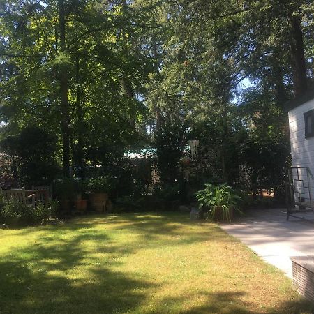 Sfeervol Vakantiehuisje In Bosrijke Omgeving Vorden Dış mekan fotoğraf