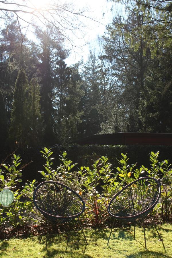 Sfeervol Vakantiehuisje In Bosrijke Omgeving Vorden Dış mekan fotoğraf