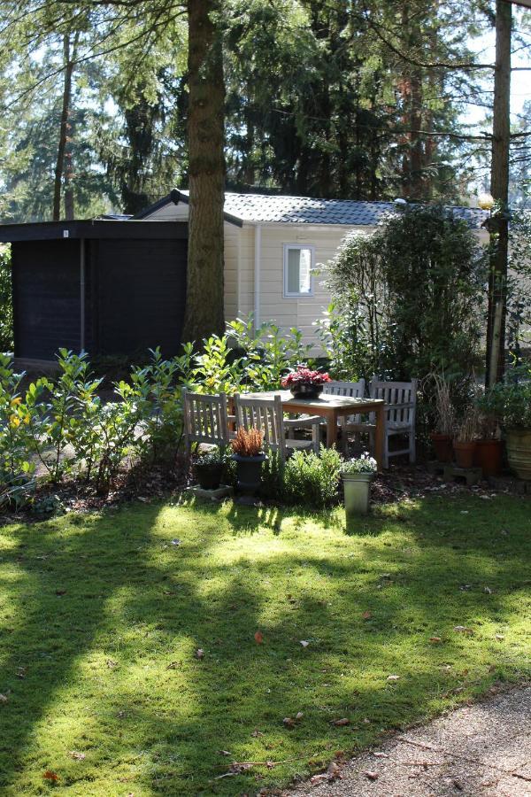Sfeervol Vakantiehuisje In Bosrijke Omgeving Vorden Dış mekan fotoğraf