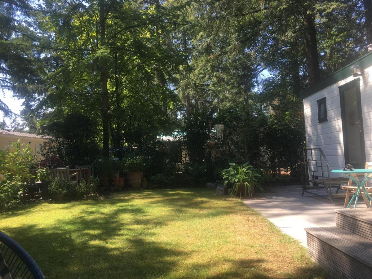 Sfeervol Vakantiehuisje In Bosrijke Omgeving Vorden Dış mekan fotoğraf