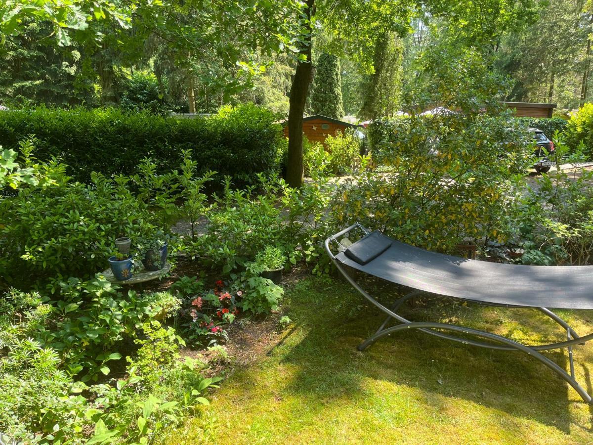 Sfeervol Vakantiehuisje In Bosrijke Omgeving Vorden Dış mekan fotoğraf